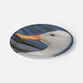 White Mallard Duck Papieren Bordje (Gekanteld)