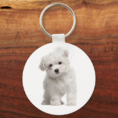 White Maltese Puppy Dog Love Custom Sleutelhanger (Voorkant)