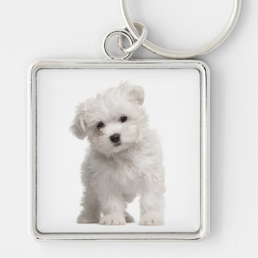 White Maltese Puppy Dog Love Custom Sleutelhanger (Voorkant)