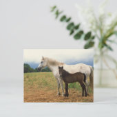 White Mare met Bay Foal Briefkaart (Staand voorkant)