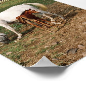 White Mare with Chestnut Foal Poster (Hoek)