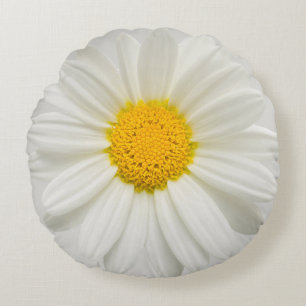 White Marguerite Daisy Chrysanthemum Round Pillow Rond Kussen