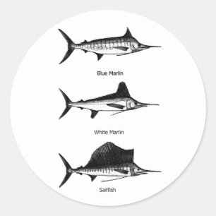 White Marlin - Blue Marlin - Sailfish Logo Ronde Sticker