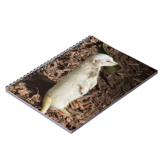 White Meerkat Standing, Carnet (Côté gauche)