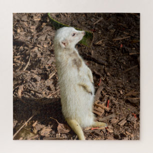 White Meerkat Standing, Jigsaw Puzzle