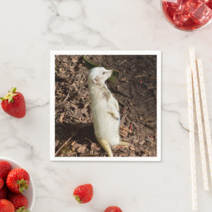 White Meerkat Standing, Paper Party Napkins Servet