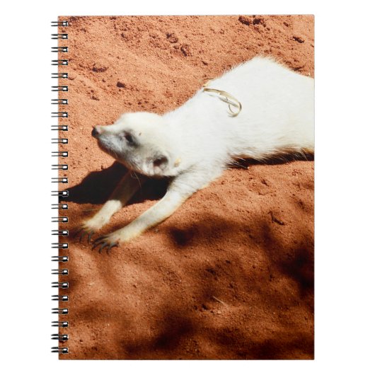 White Meerkat Stretching, Notitieboek (Voorkant)