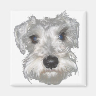 White Miniature Schnauzer Magnet Magneet