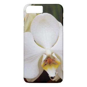 White Moon Orchid (Phalaenopsis Aphrodite) iPhone 8 Plus / 7 Plus Hoesje