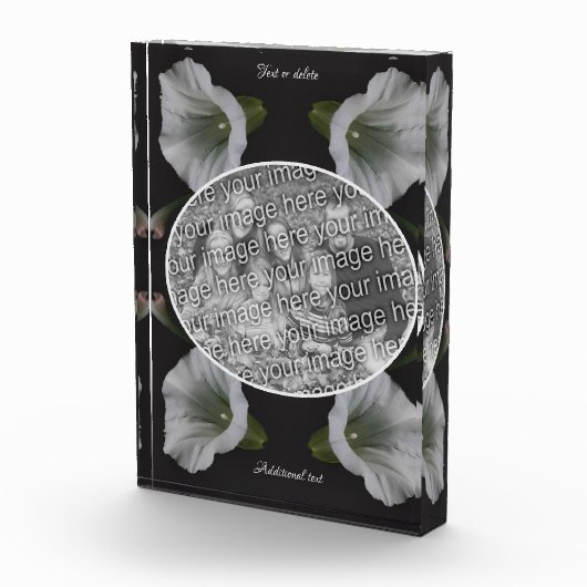 White Morning Glory Flower Creëer Uw Eigen Fotoblokken (Rechts)