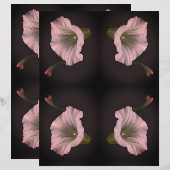 White Morning Glory Flower Scrapbook Paper (Voorkant / Achterkant)