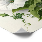 White Morning Glory Flowers Art Print Poster (Coin)