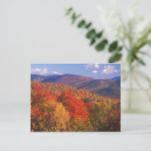 White Mountain Foliage Beer Notch Briefkaart (Staand voorkant)
