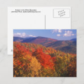 White Mountain Foliage Beer Notch Briefkaart (Voorkant / Achterkant)