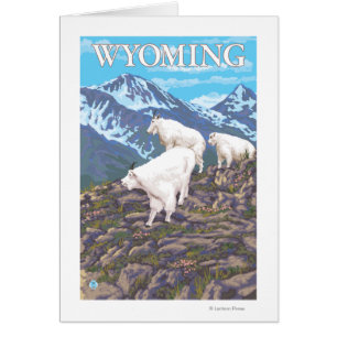 White Mountain Goat Family Wyoming