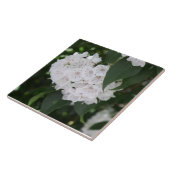 White Mountain Laurel Bloemen Groene bladeren Tegeltje (Zijkant)