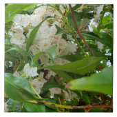 White Mountain Laurel Leaves Ceramic Tile Tegeltje (Voorkant)