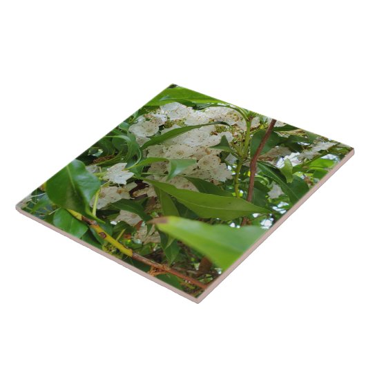 White Mountain Laurel Leaves Ceramic Tile Tegeltje (Zijkant)