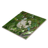 White Mountain Laurel Leaves op Sundown Tegeltje (Zijkant)