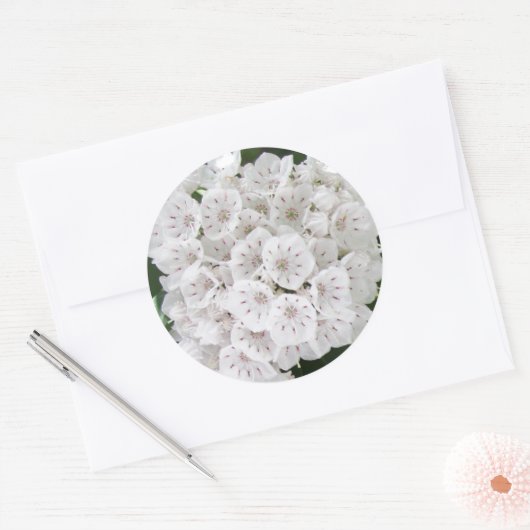 White Mountain Laurel Star Shaped Flowers Ronde Sticker (Envelop)