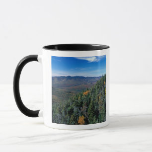 White Mountain N.F., NH. Het uitzicht van nabij Mok