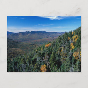 White Mountain N.F., NH. Het uitzicht vanuit de bu Briefkaart