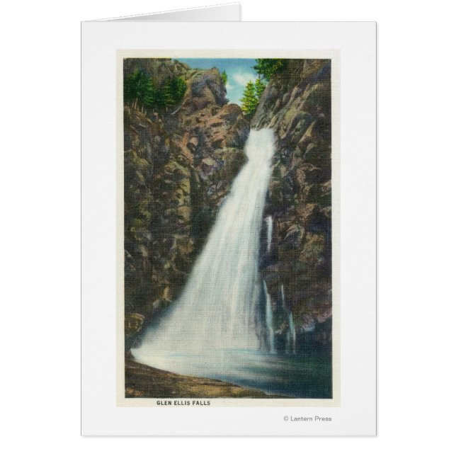 White Mountains Nat'l Forest (Voorkant)