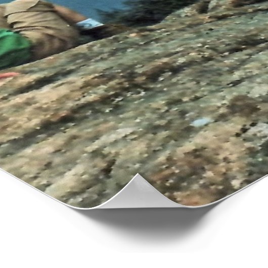 White Mountains Vista Poster (Hoek)