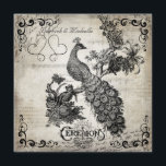 White Musical Notes Faire-part de mariage Peacock<br><div class="desc">Nos White Musical Notes Vintage Peacock personnalisable faire-part de mariage carré est une invitation parfaite pour tous ceux qui aiment les designs vintages et les paons. Avec un damas blanc muet et un arrière - plan de notes musicales, tournois aux quatre coins de devant, un paon vintage, des coeurs et...</div>