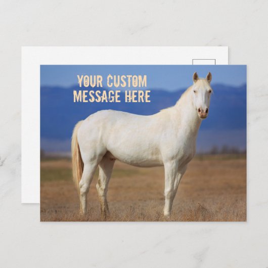 White Mustang Horse Briefkaart (Voorkant / Achterkant)