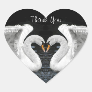 White Mute Swan Mirror Afbeelding - Dank u Hart Sticker