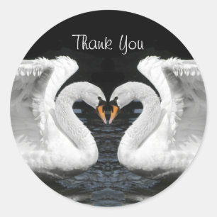 White Mute Swan Mirror Afbeelding - Hartelijk dank Ronde Sticker