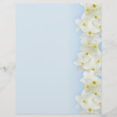 White narcissus border blank flyer (Achterkant)