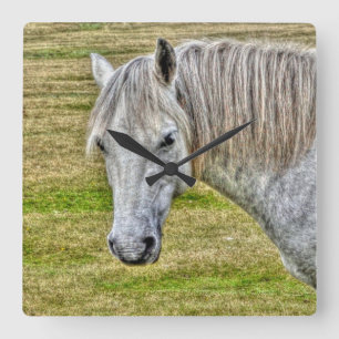 White New Forest Pony Wild Horse Vierkante Klok