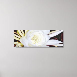 White Night Blooming Flower Canvas Afdruk
