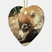 White Nosed Coati Ornament (Links)