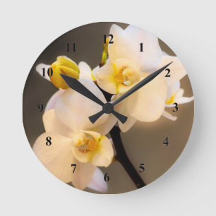 White Orchid Acrylwall klok
