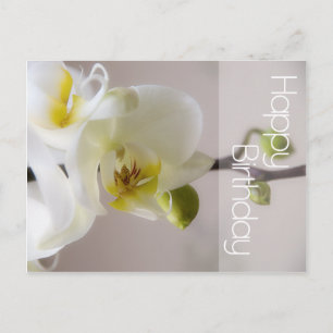 White Orchid Birthday Briefkaart