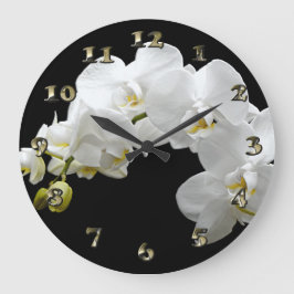 White Orchid Blossom Grote Klok