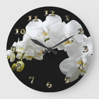 White Orchid Blossom Grote Klok