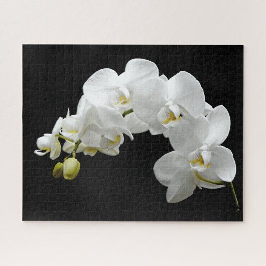 White Orchid Blossom Legpuzzel (Horizontaal)