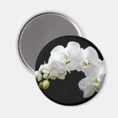 White Orchid Blossom Magneet (Voorkant / Achterkant)