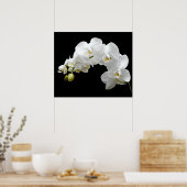 White Orchid Blossom Poster (Keuken)