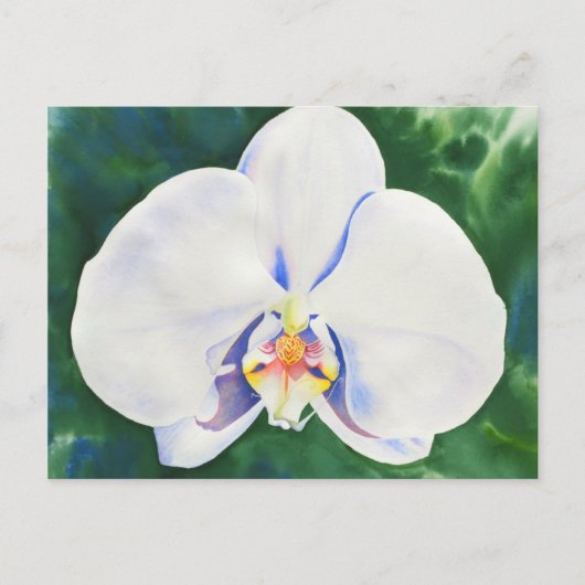 White Orchid Briefkaart (Voorkant)