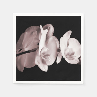 White Orchid Flower Black Achtergrond Abstract Servetten