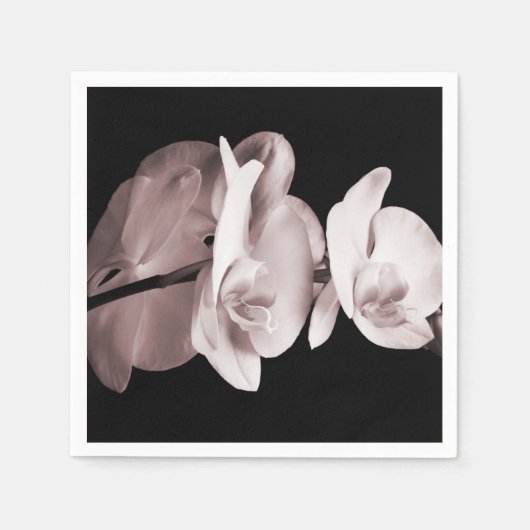 White Orchid Flower Black Achtergrond Abstract Servetten (Voorkant)