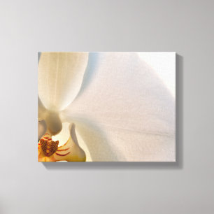 White Orchid Flower Close Canvas Afdruk
