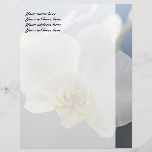 White Orchid Flower Gepersonaliseerd Briefhoofd (Voorkant)