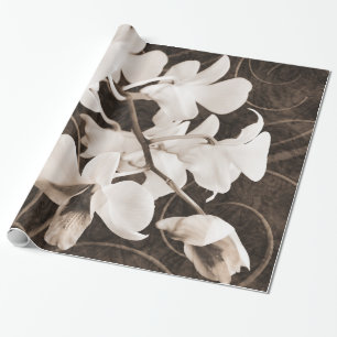 White Orchid Flower Sepia Black Background floral Cadeaupapier