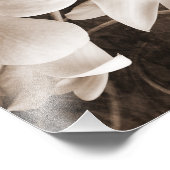 White Orchid Flower Sepia Black Background floral Foto Afdruk (Hoek)